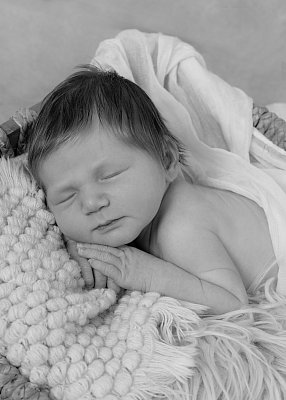 7H9A2741bw.jpg